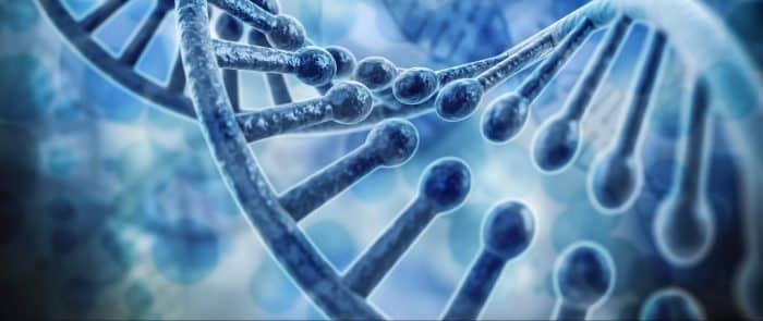 Penis vergrößern fazit Penis vergrößern fazit