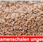 Mit Flohsamenschalen Verdauungsbeschwerden nachhaltig bekämpfen? Flohsamenschalen Titelbild