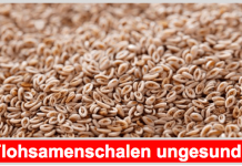 Mit Flohsamenschalen Verdauungsbeschwerden nachhaltig bekämpfen? Flohsamenschalen Titelbild