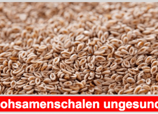Mit Flohsamenschalen Verdauungsbeschwerden nachhaltig bekämpfen? Flohsamenschalen Titelbild