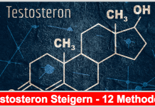 Testosteron steigern – Die 12 besten Methoden Testosteron steigern Titelbild