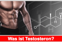 Testosteron: Eines der wichtigsten Hormone des Mannes Was ist Testosteron