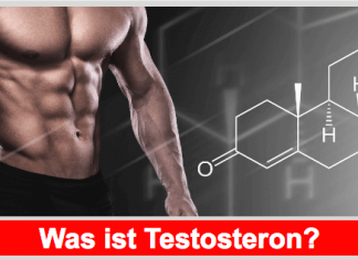 Testosteron: Eines der wichtigsten Hormone des Mannes Was ist Testosteron