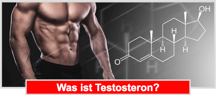 Was ist Testosteron