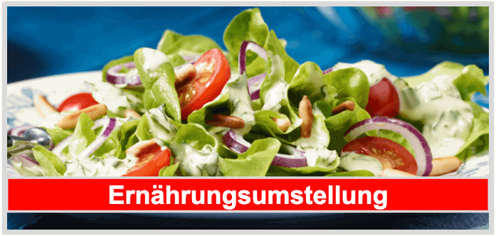 Abnehmen durch Ernährungsumstellung Abnehmen Ernährung