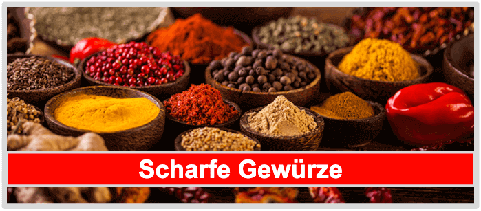 Verschiedene Gewürzarten zu sehen Abnehmen Gewürze scharf