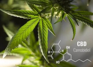 Cannabidiole zur Verbesserung der Gesundheit Cannabidiole