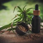 CBD: Das sollten Sie über das Naturheilmittel wissen CBD Infos