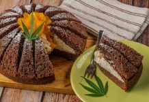 Hanf in der Lebensmittelindustrie: Von Hanfsamen bis Hanföl