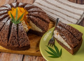 Hanf in der Lebensmittelindustrie: Von Hanfsamen bis Hanföl