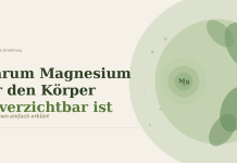 Warum Magnesium für den Körper unverzichtbar ist – Funktionen einfach erklärt