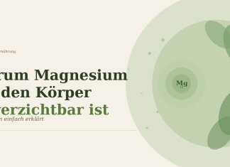 Warum Magnesium für den Körper unverzichtbar ist – Funktionen einfach erklärt