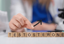 Magnesium und Testosteron – Zusammenhang und Wirkung Magnesium und Testosteron